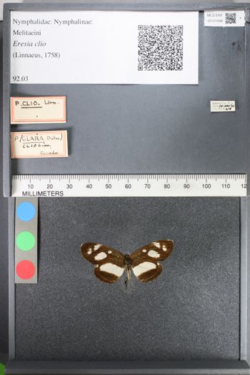 Media type: image;   Entomology 101048